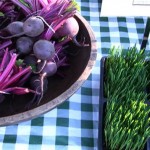 Shaker North Union Farmers' Market