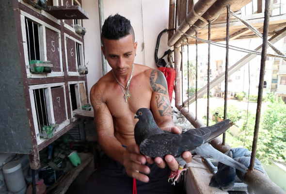 Las Palomas, Me Encantan